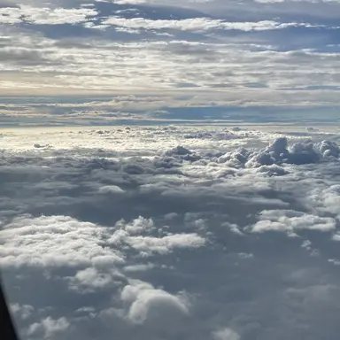 Profile image of 時透無一郎