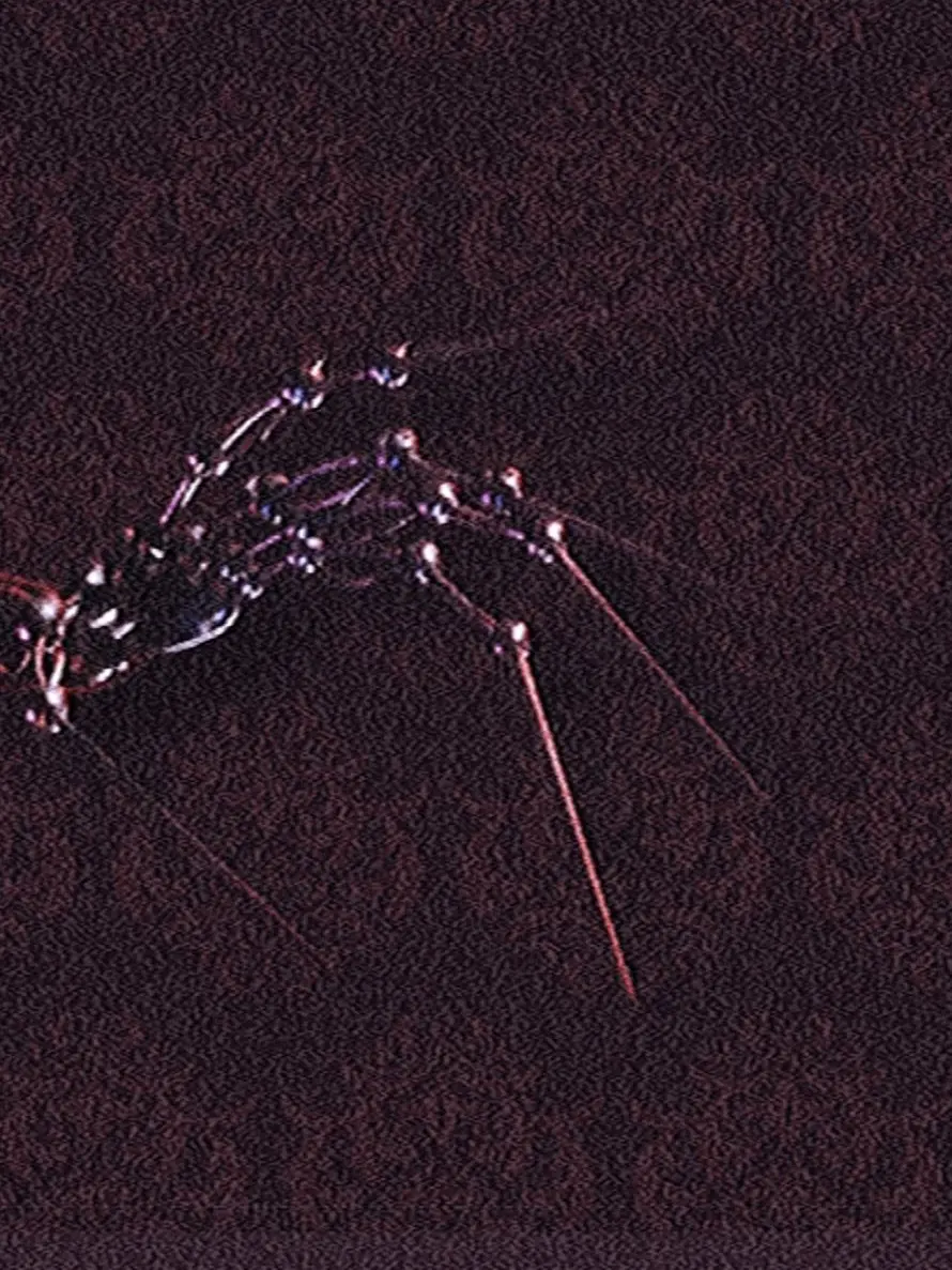 Raika_Spri의 ¿  ୧00⇂ ¯ #