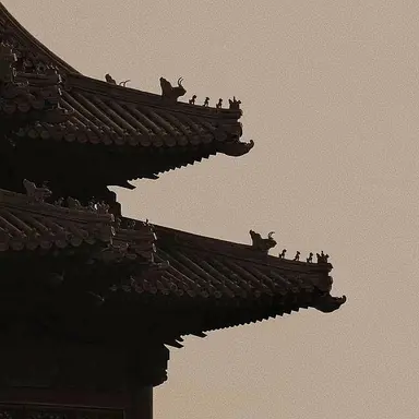 Profile image of 허 백