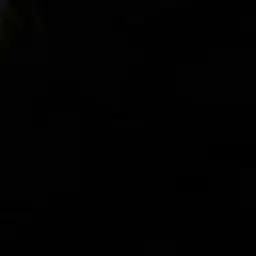 Profile image of ㅎㄷㅁ