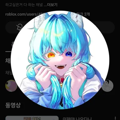 Profile image of 료미