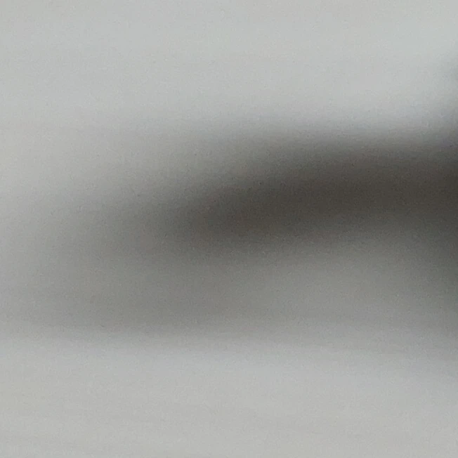진격의 거인