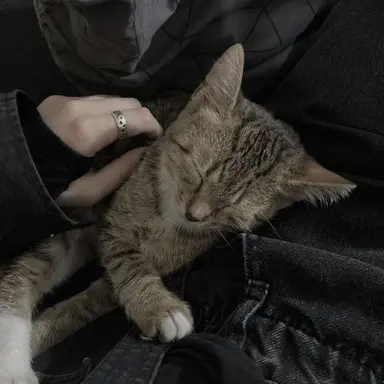 Profile image of 유지민