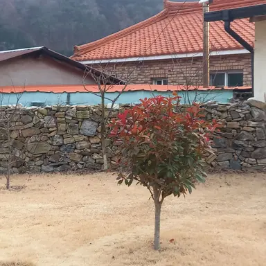 Profile image of 준브레드