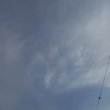 Profile image of 유기사