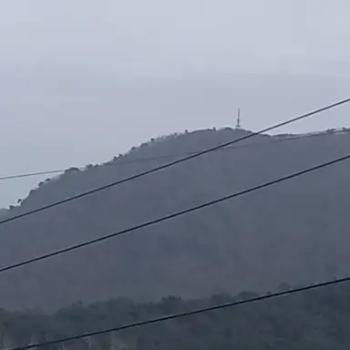 Profile image of 평학