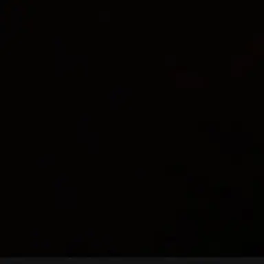 Profile image of 김 동 현