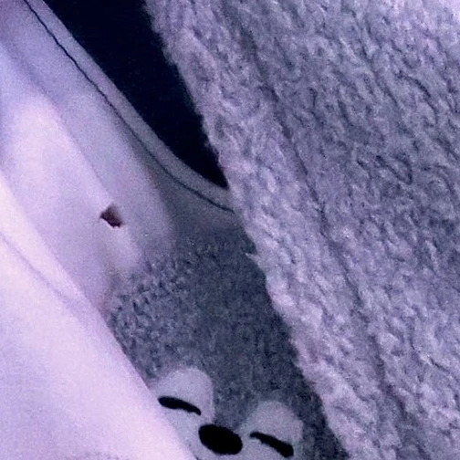 방찬