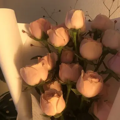 Profile image of 전지희