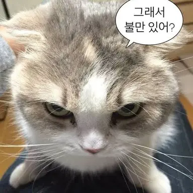Profile image of 여우