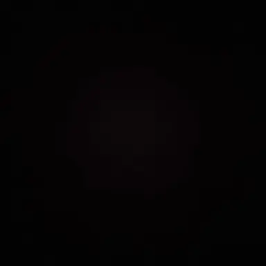Profile image of 시현