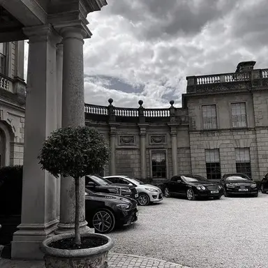 Profile image of Mafia family