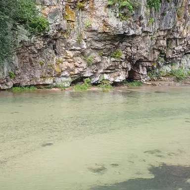 Profile image of 꽥르르팀탐험큐브대팸