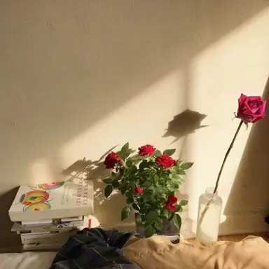 Profile image of 정공룡