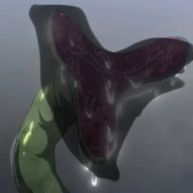 Profile image of 緑の触手