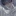 정하준