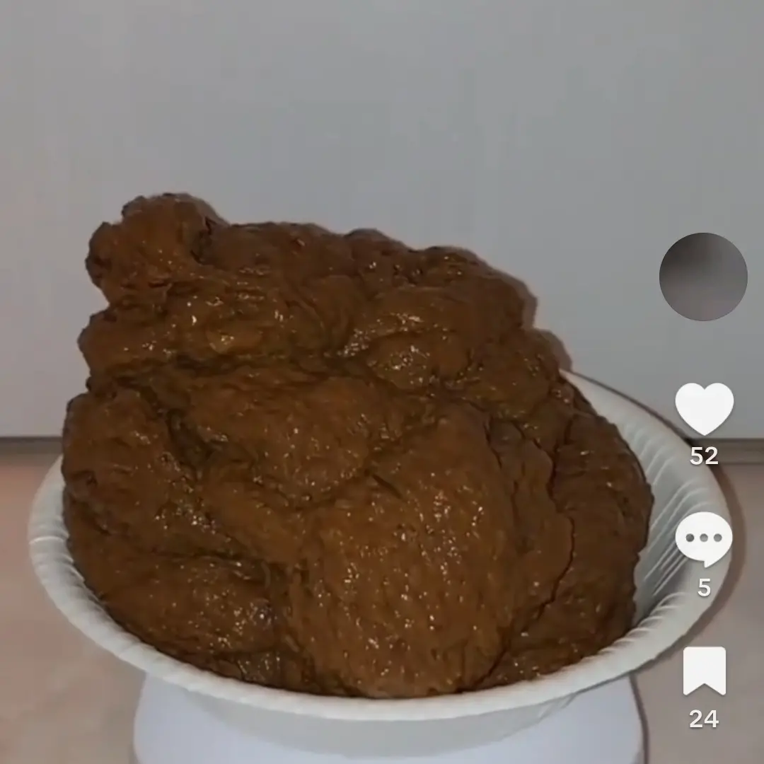 MeagerPika0291의 똥