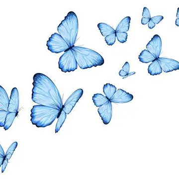 Profile image of user