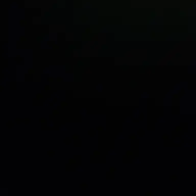 Profile image of 송하영