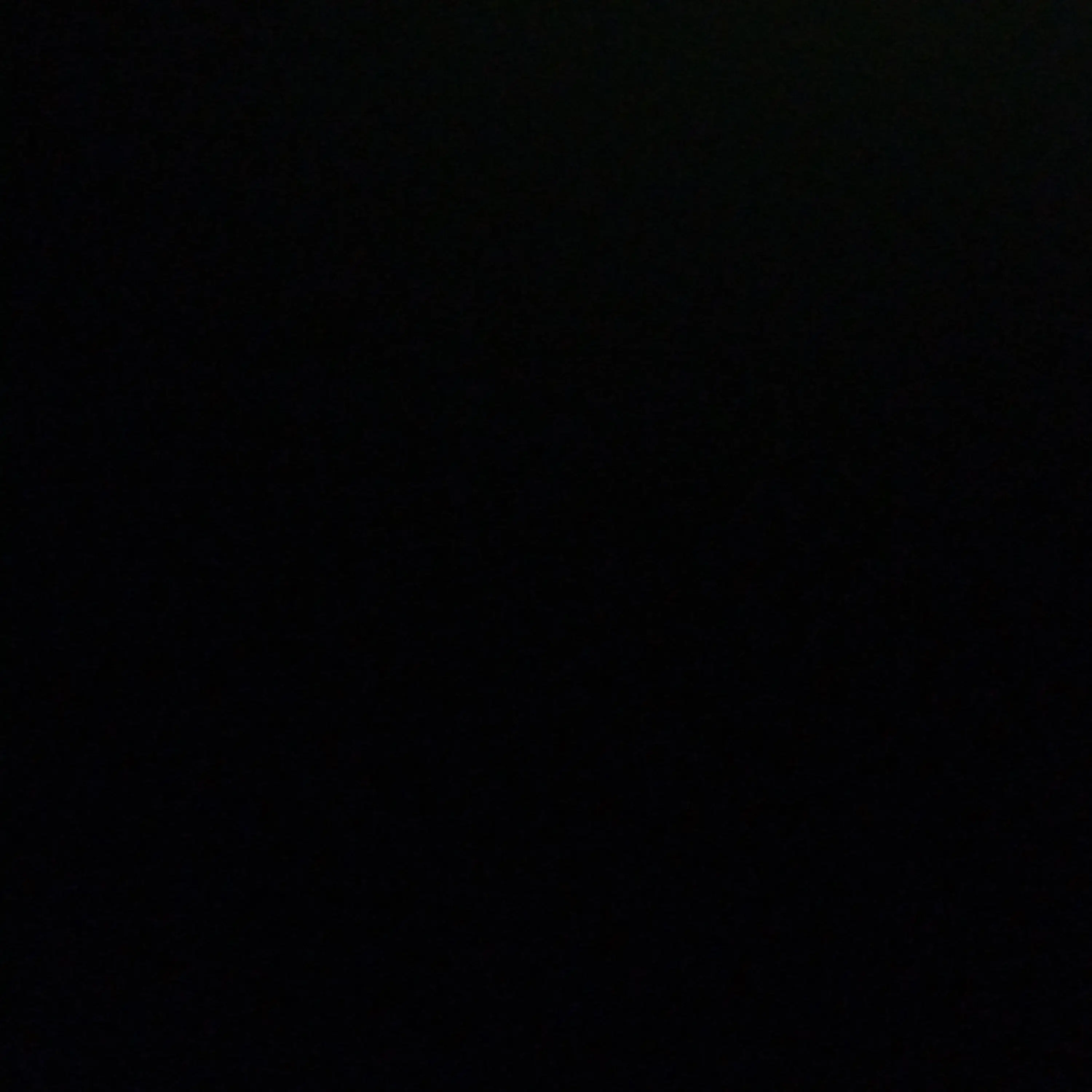 Cat0911..의 송하영