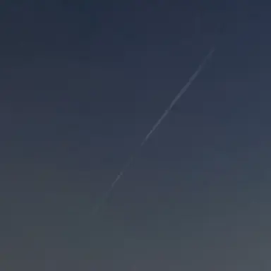 Profile image of 사랑이