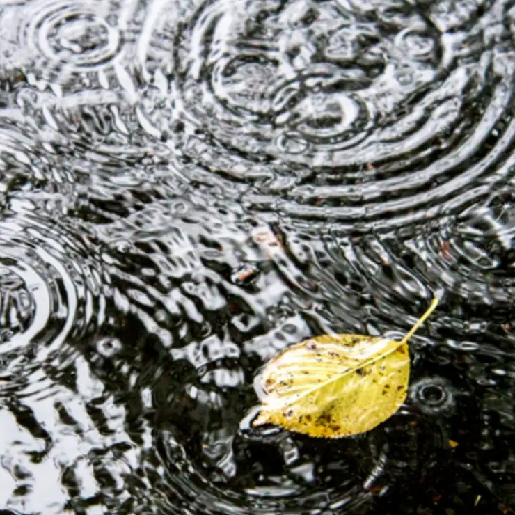 GaySpoon9876의 雨が降り続ける街