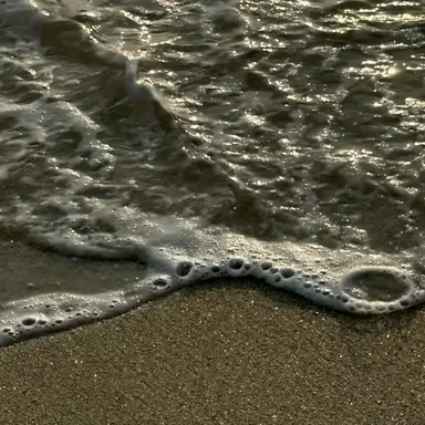 Profile image of 배진솔