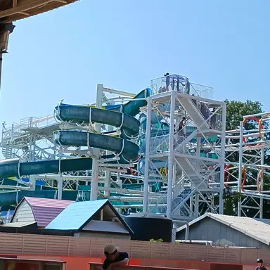 Profile image of 永瀬廉