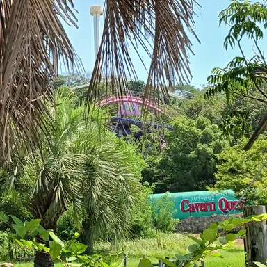 Profile image of 神宮寺勇太