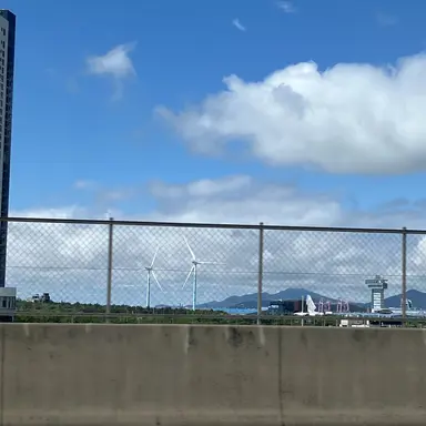 Profile image of 배진솔