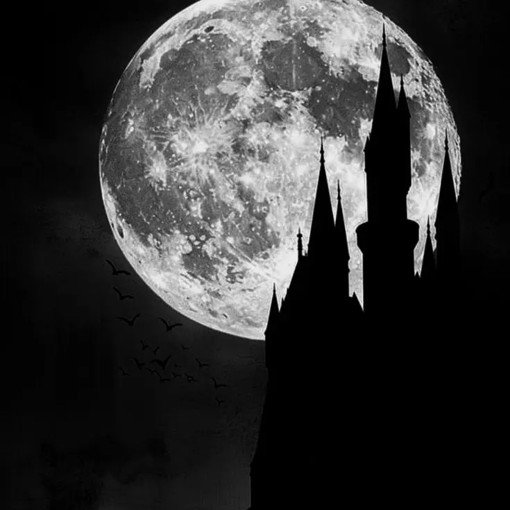 won_29의 甘えん坊彼女