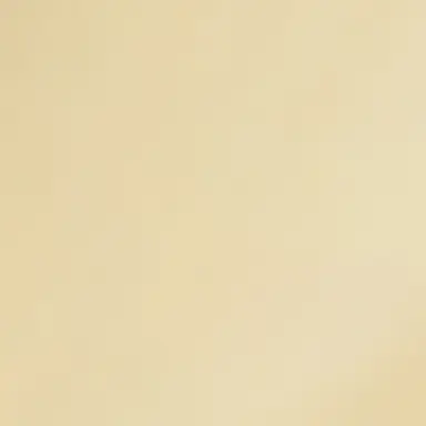Profile image of 미스틱플라워
