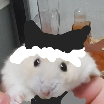 あはたらあやは(개발자가 만든 미스터리 캐릭)