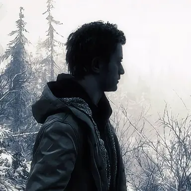 Profile image of Ethan Winters