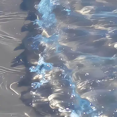 Profile image of 박잠뜰