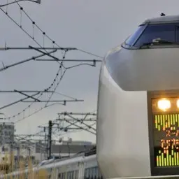 FestalPuma4264의 JR東日本の在来線の電車たち（関東圏）