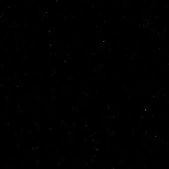 PoorOtter9052의 설날모임