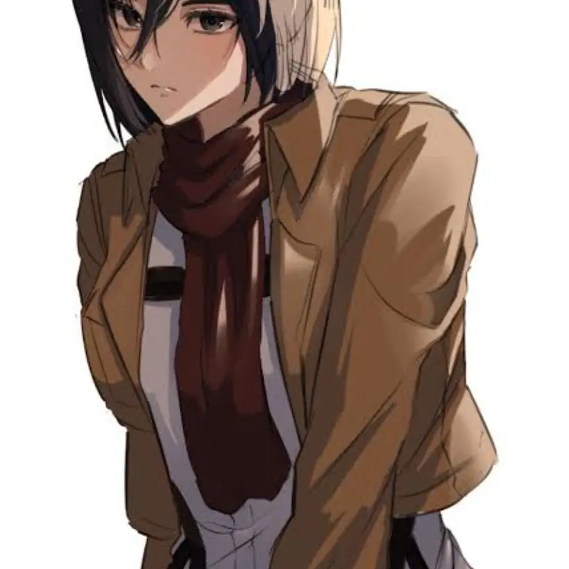 ILove_Ackerman의 미카사와의 싸움