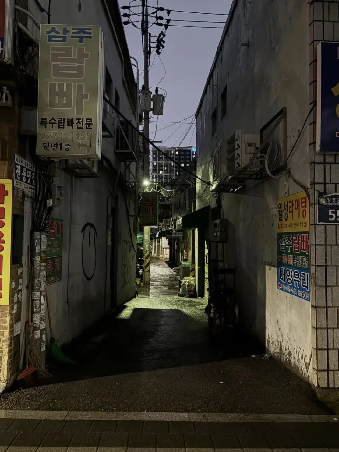 SlimyDorgi5446의 카쿠쵸