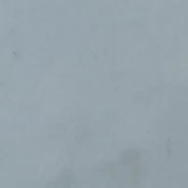 Profile image of 한동원