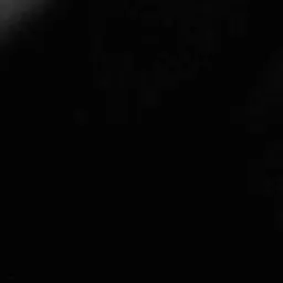 Profile image of 김수영