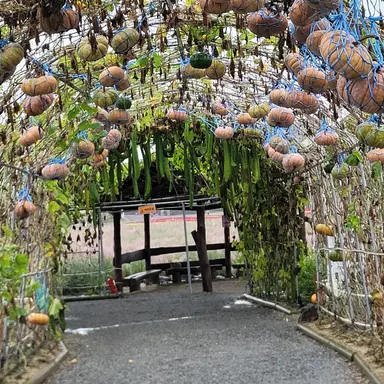 Profile image of 감제이