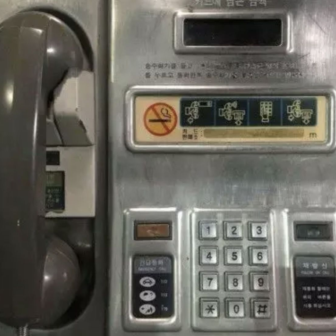 如月 樹 대표 이미지