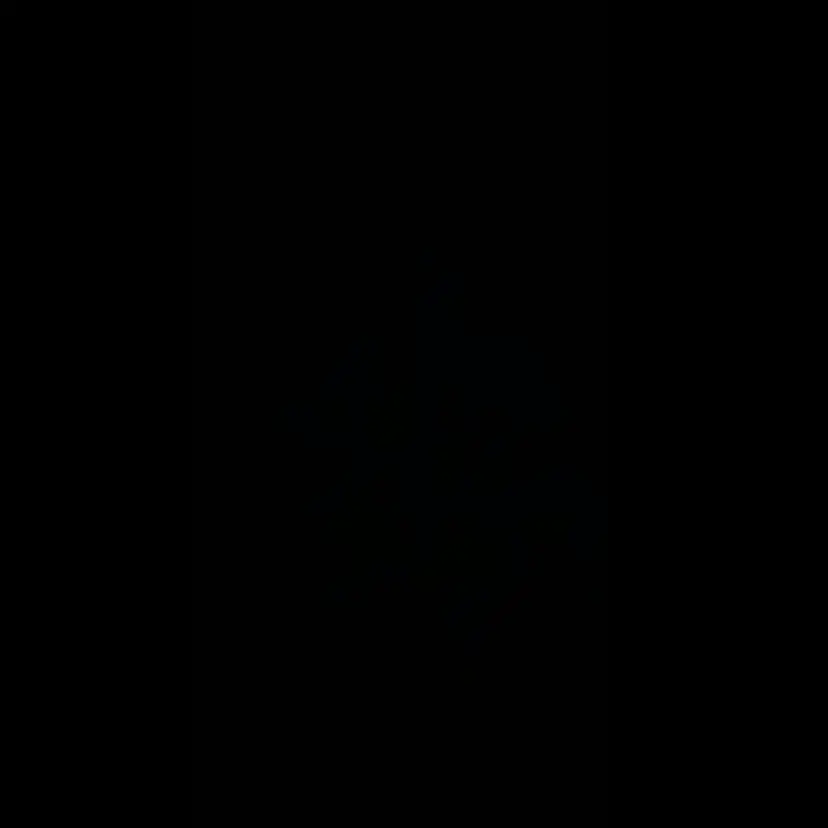 RobustGorge7904의 満員電車