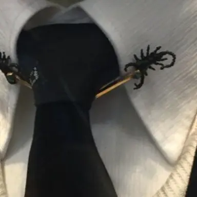 Profile image of 알프레드