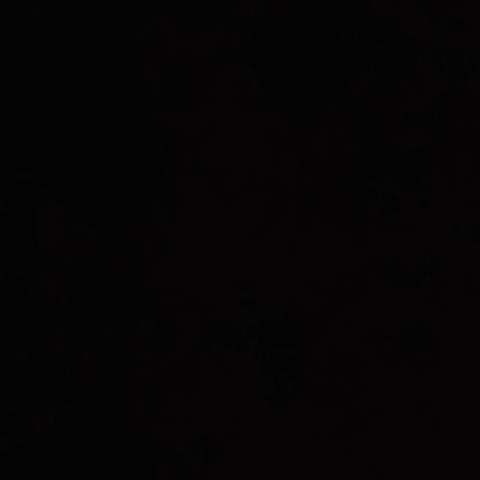 크림라이트 쿠키