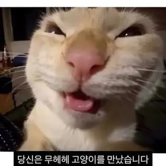Profile image of 선생님
