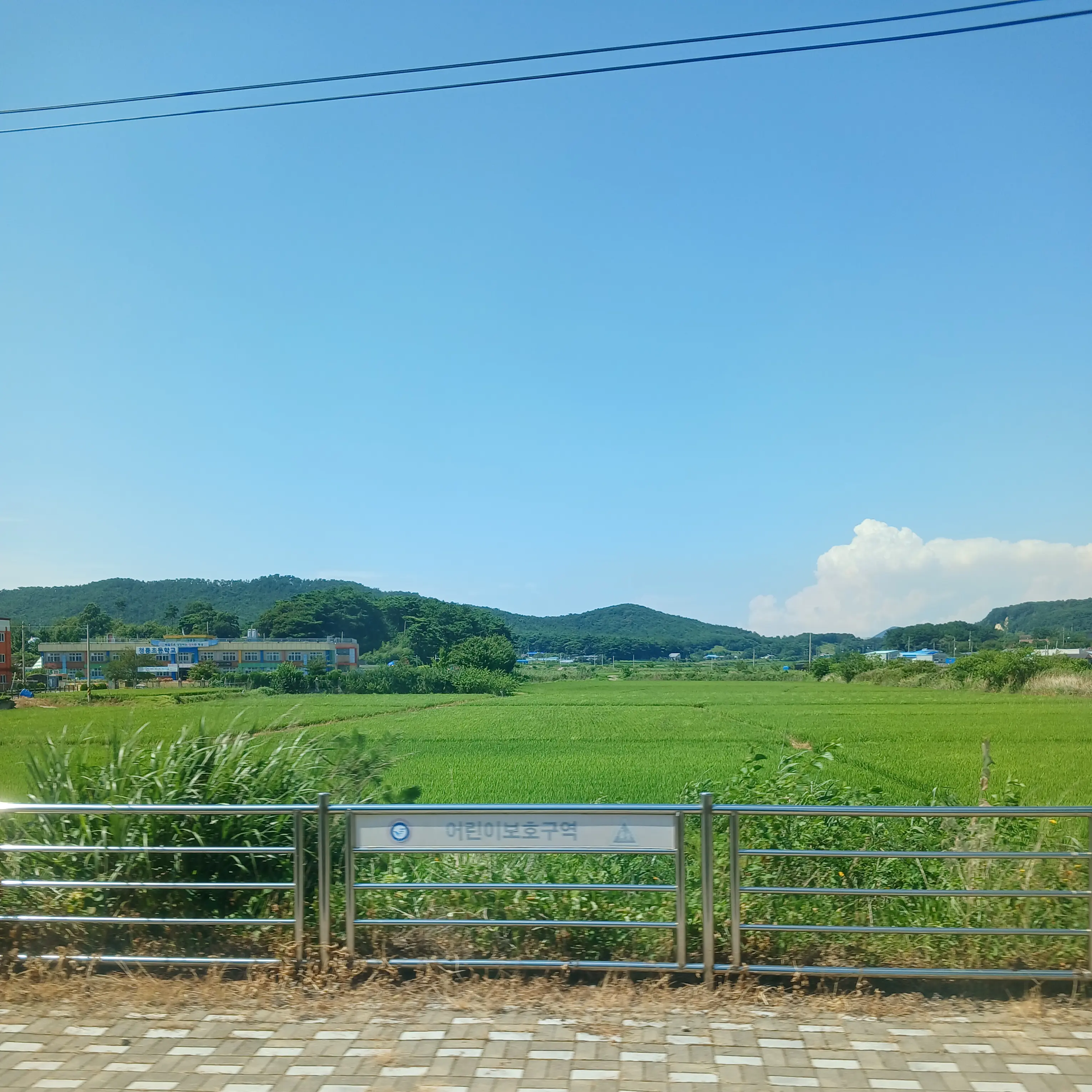 SlickBoy5425의 뜰팁조직 보스 막내2