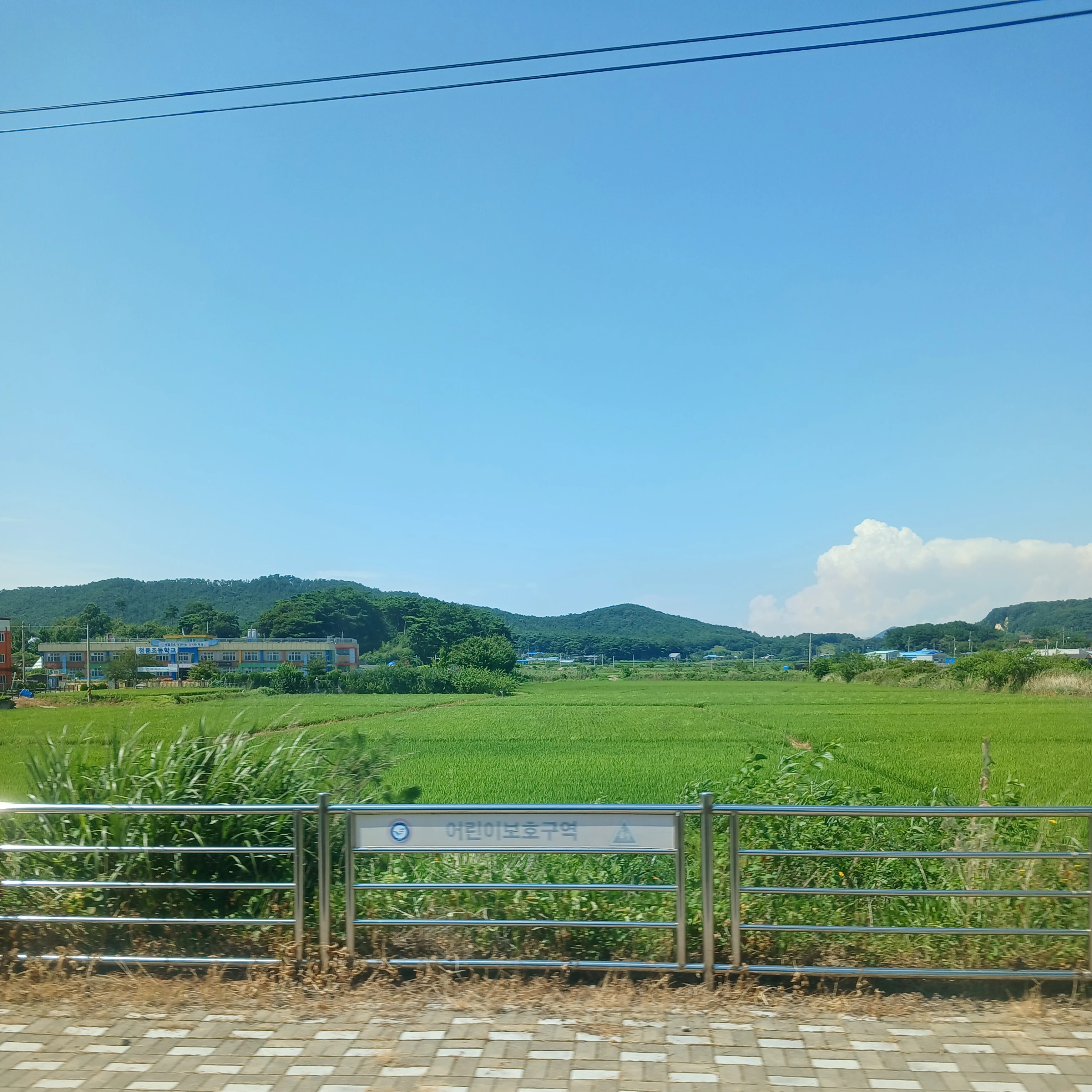 뜰팁 조직 막내2