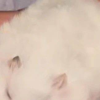 장하오